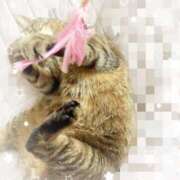 ヒメ日記 2025/10/07 16:07 投稿 みやび あとりえ(ATELIER)