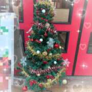 ヒメ日記 2025/11/12 12:06 投稿 みやび あとりえ(ATELIER)