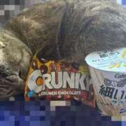 ヒメ日記 2025/12/08 17:22 投稿 みやび あとりえ(ATELIER)