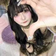 ヒメ日記 2025/09/01 12:00 投稿 テマリ きらめけ！にゃんにゃん学園in大宮