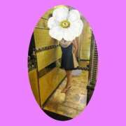 ヒメ日記 2025/10/18 13:48 投稿 神里 熟女の風俗最終章 新横浜店