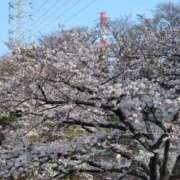 ヒメ日記 2026/03/31 09:16 投稿 神里 熟女の風俗最終章 新横浜店