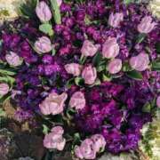 ヒメ日記 2026/04/02 07:50 投稿 神里 熟女の風俗最終章 新横浜店