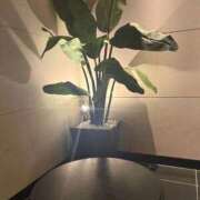 ヒメ日記 2026/01/20 15:59 投稿 らぷす とある風俗店♡やりすぎさーくる新宿大久保店♡で色んな無料オプションしてみました