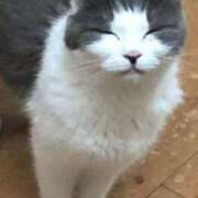 ヒメ日記 2025/10/08 11:20 投稿 こはる カルテDayShift（新宿）