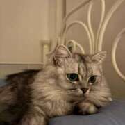 ヒメ日記 2025/10/10 09:58 投稿 こはる カルテDayShift（新宿）