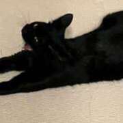 ヒメ日記 2025/10/15 10:49 投稿 こはる カルテDayShift（新宿）