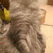 ヒメ日記 2025/10/20 10:27 投稿 こはる カルテDayShift（新宿）