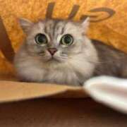 ヒメ日記 2025/10/25 09:07 投稿 こはる カルテDayShift（新宿）