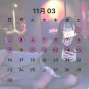 ヒメ日記 2025/11/03 09:58 投稿 こはる カルテDayShift（新宿）