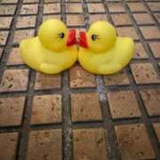 ヒメ日記 2025/09/22 10:29 投稿 うさぎ 櫻女学院