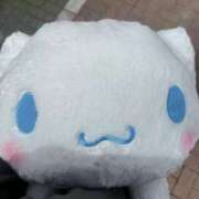 ヒメ日記 2025/09/29 15:03 投稿 うさぎ 櫻女学院