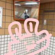 ヒメ日記 2025/10/04 13:18 投稿 うさぎ 櫻女学院