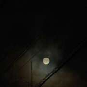 ヒメ日記 2025/10/05 18:11 投稿 うさぎ 櫻女学院