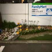 ヒメ日記 2025/10/09 11:39 投稿 うさぎ 櫻女学院