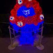 ヒメ日記 2025/10/11 11:17 投稿 うさぎ 櫻女学院