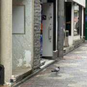 ヒメ日記 2025/10/24 18:49 投稿 うさぎ 櫻女学院