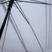 ヒメ日記 2025/10/25 16:49 投稿 うさぎ 櫻女学院