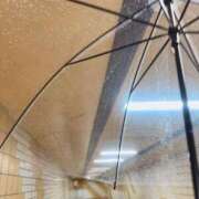 ヒメ日記 2025/10/26 17:30 投稿 うさぎ 櫻女学院