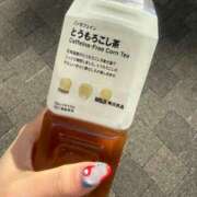 ヒメ日記 2025/11/01 10:39 投稿 うさぎ 櫻女学院