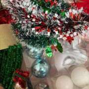 ヒメ日記 2025/11/03 15:30 投稿 うさぎ 櫻女学院