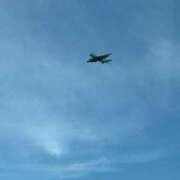 ヒメ日記 2025/11/05 13:06 投稿 うさぎ 櫻女学院