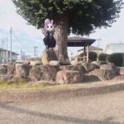 ヒメ日記 2025/11/07 15:05 投稿 うさぎ 櫻女学院