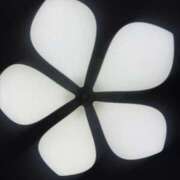 ヒメ日記 2025/11/08 15:03 投稿 うさぎ 櫻女学院