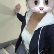 ヒメ日記 2025/11/10 12:14 投稿 うさぎ 櫻女学院