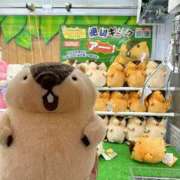 ヒメ日記 2025/11/11 21:04 投稿 うさぎ 櫻女学院