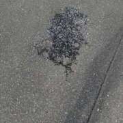 ヒメ日記 2025/11/12 19:22 投稿 うさぎ 櫻女学院