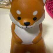 ヒメ日記 2025/11/17 12:20 投稿 うさぎ 櫻女学院