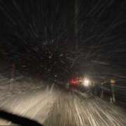 ヒメ日記 2025/11/18 18:54 投稿 うさぎ 櫻女学院