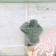 ヒメ日記 2025/11/22 13:09 投稿 うさぎ 櫻女学院