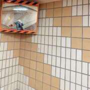 ヒメ日記 2025/11/23 17:04 投稿 うさぎ 櫻女学院