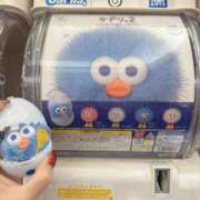 ヒメ日記 2025/11/23 18:23 投稿 うさぎ 櫻女学院