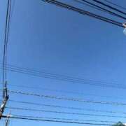 ヒメ日記 2025/11/28 10:36 投稿 うさぎ 櫻女学院