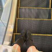 ヒメ日記 2025/11/30 16:24 投稿 うさぎ 櫻女学院