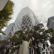 ヒメ日記 2025/12/02 17:18 投稿 うさぎ 櫻女学院