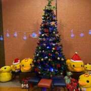 ヒメ日記 2025/12/04 20:51 投稿 うさぎ 櫻女学院