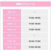 ヒメ日記 2025/12/07 17:19 投稿 うさぎ 櫻女学院