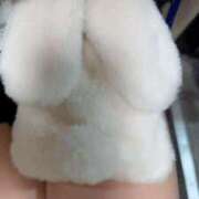 ヒメ日記 2025/12/08 16:47 投稿 うさぎ 櫻女学院