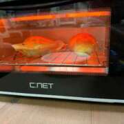 ヒメ日記 2025/12/10 16:24 投稿 うさぎ 櫻女学院