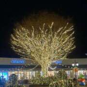 ヒメ日記 2025/12/16 00:27 投稿 うさぎ 櫻女学院