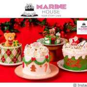 ヒメ日記 2025/12/17 15:45 投稿 うさぎ 櫻女学院