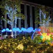 ヒメ日記 2025/12/19 19:08 投稿 うさぎ 櫻女学院