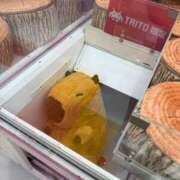 ヒメ日記 2025/12/20 14:00 投稿 うさぎ 櫻女学院