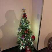 ヒメ日記 2025/12/20 15:50 投稿 うさぎ 櫻女学院