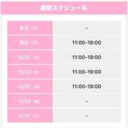 ヒメ日記 2025/12/21 08:36 投稿 うさぎ 櫻女学院