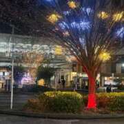 ヒメ日記 2025/12/21 17:41 投稿 うさぎ 櫻女学院